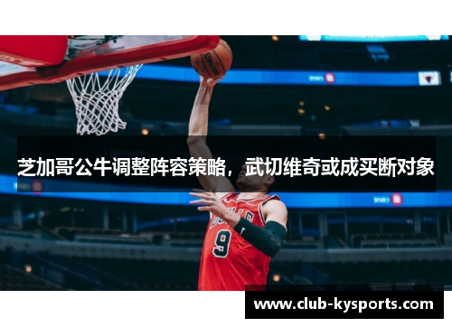 芝加哥公牛调整阵容策略，武切维奇或成买断对象